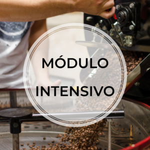 Curso de Torra Belo Horizonte/MG – Módulo INTENSIVO – Agosto/26